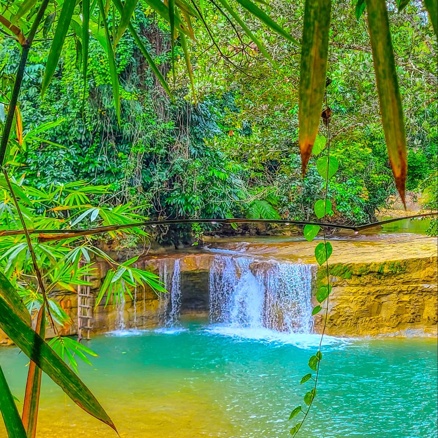 Los Haitises National Park + Yanigua Waterfall + Redonda Mountain - Photo 4 (Gallery view)