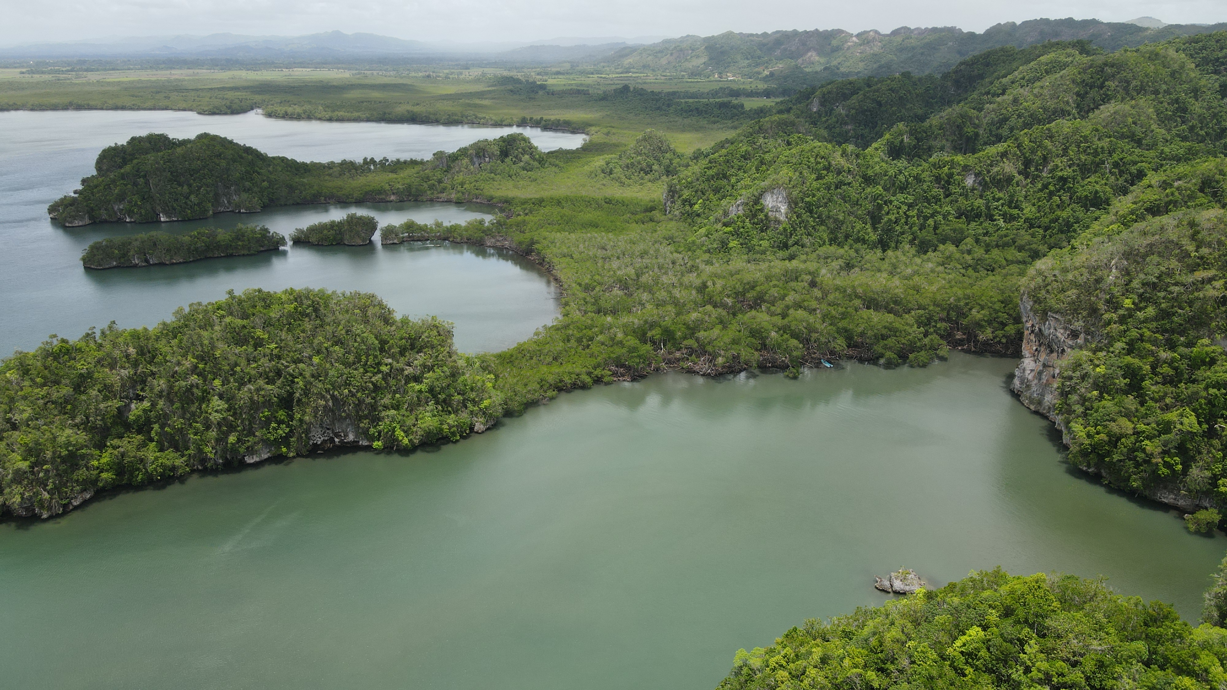 Los Haitises from Samaná: Boat Tours, Caves & Mangroves - Salto de la Jalda Guide