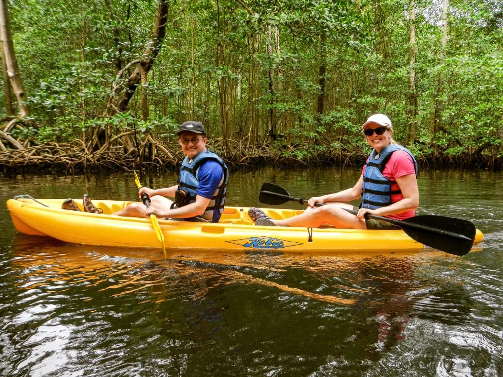 Book the Best Tours in Sabana de la Mar: Your Complete Guide to Los Haitises Adventures