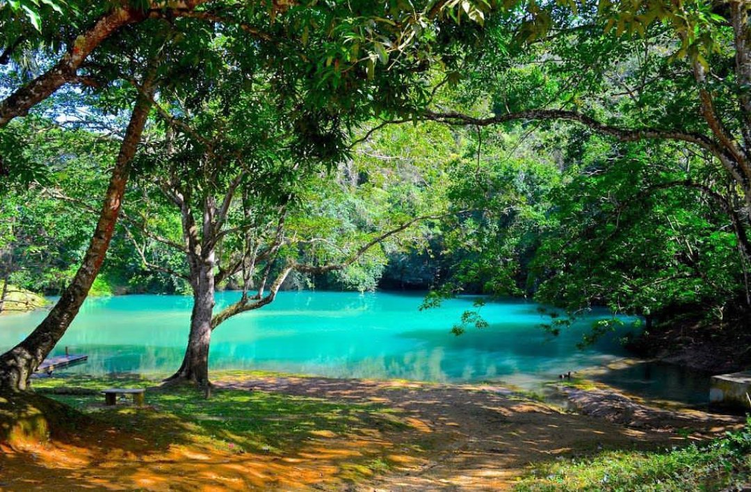 5 nejlepších zájezdů Miches pro milovníky dobrodružství - Saona Island Tours & Excursions Guide