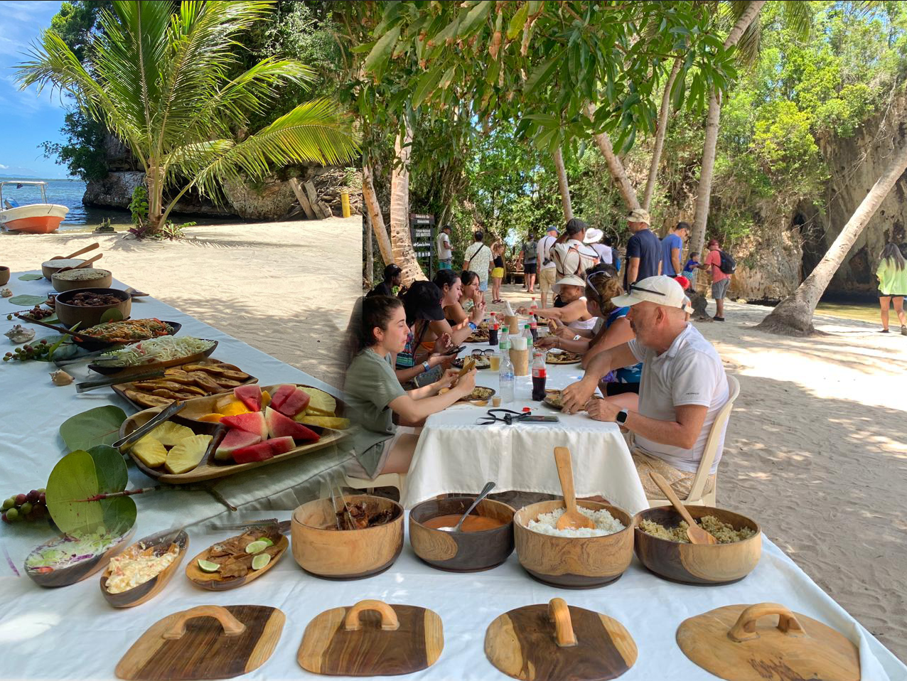 Wie kann ich vom Nationalpark Los Haitises nach Punta Cana reisen? - Saona Island Tours & Excursions Guide