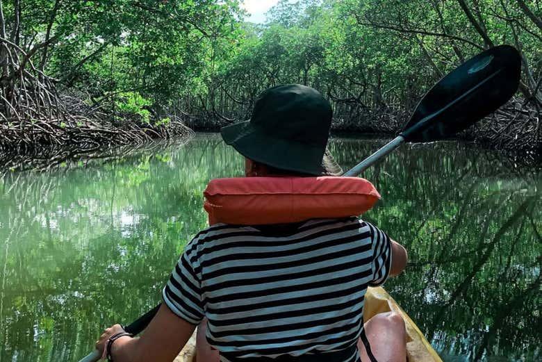 Parcul Național Los Haitises cu Kayak: Aventura unui călător solo în mai 2026