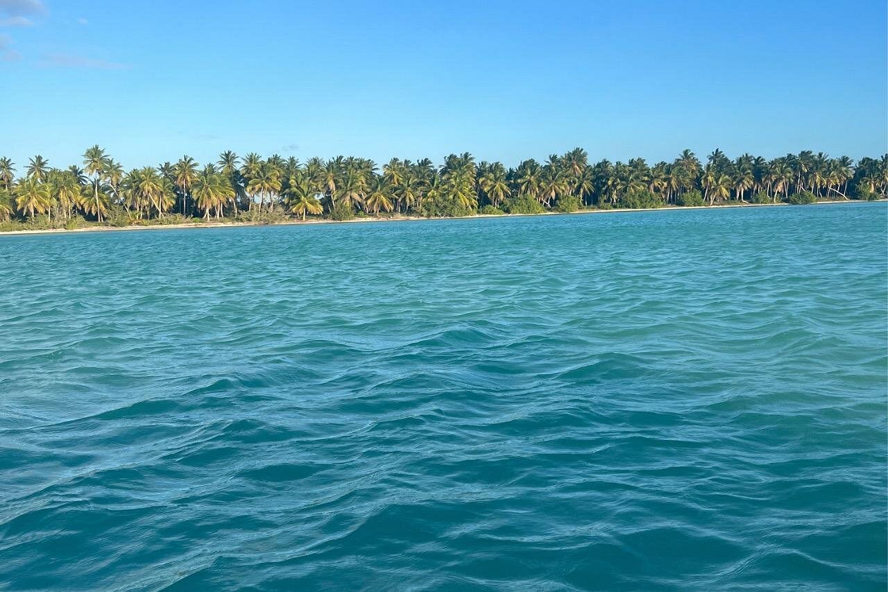 Saona Island from Santo Domingo: Routes & Day Trip Guide