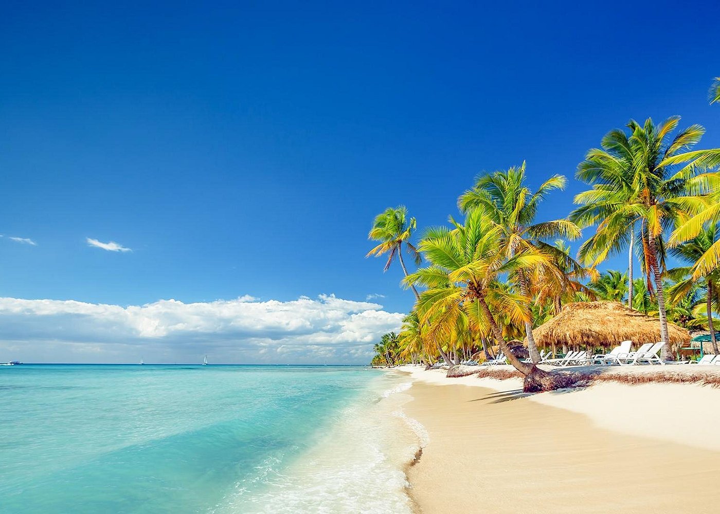 Saona Island Wedding: Planning a Caribbean Beach Celebration