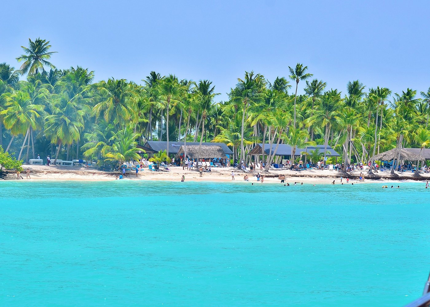 Can You Take Seashells from Saona Island? Rules & Tips
