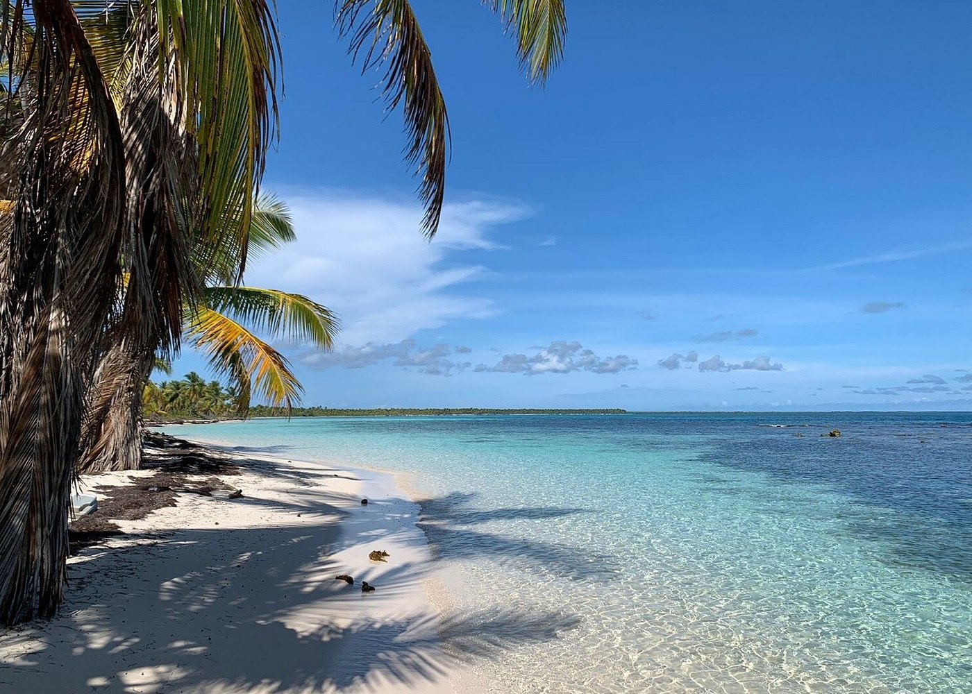 Saona Island Snorkeling for Beginners: First-Timer's Guide
