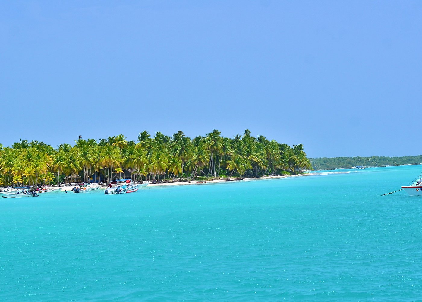 Saona Island in a Short Time: How to Plan Your Visit