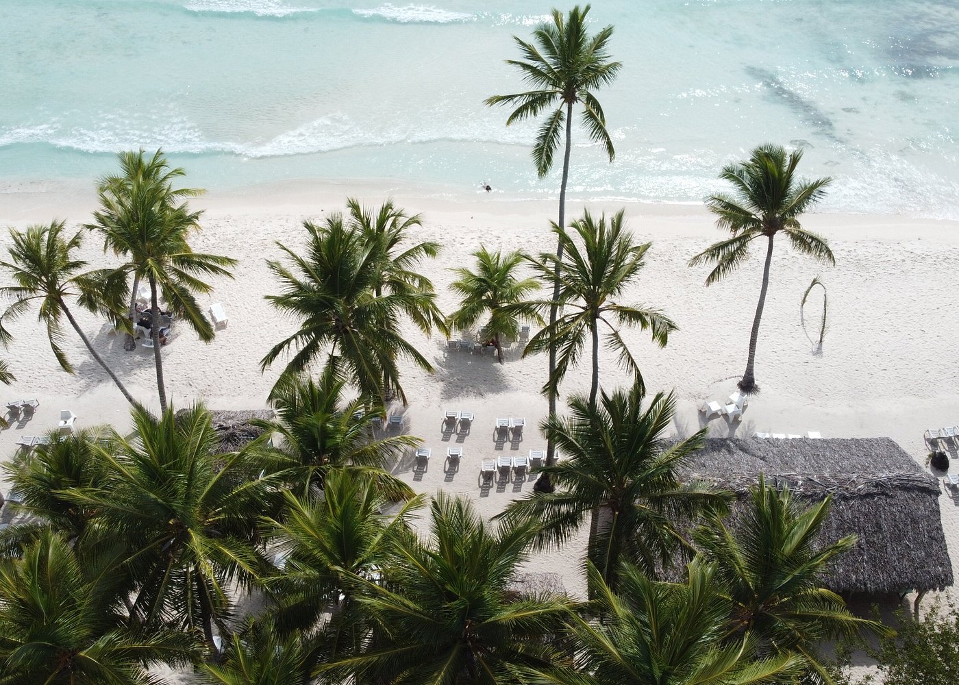 Saona Island from Punta Cana Airport: Transfer Guide
