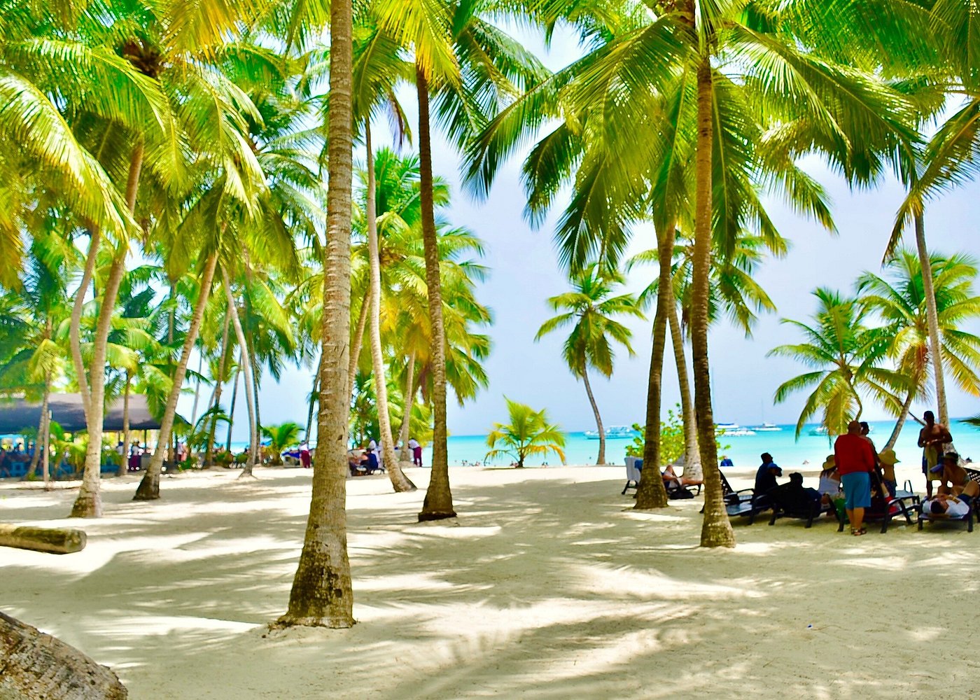 Saona Island Natural Pool: Sandbar Guide & Visitor Tips