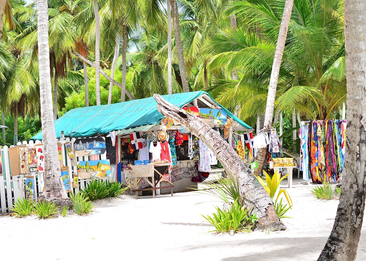 Saona Island Tides: How Water Levels Affect Your Visit