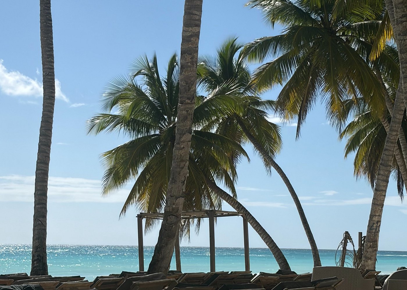 Saona Island Stargazing: Caribbean Night Sky & Astronomy Guide