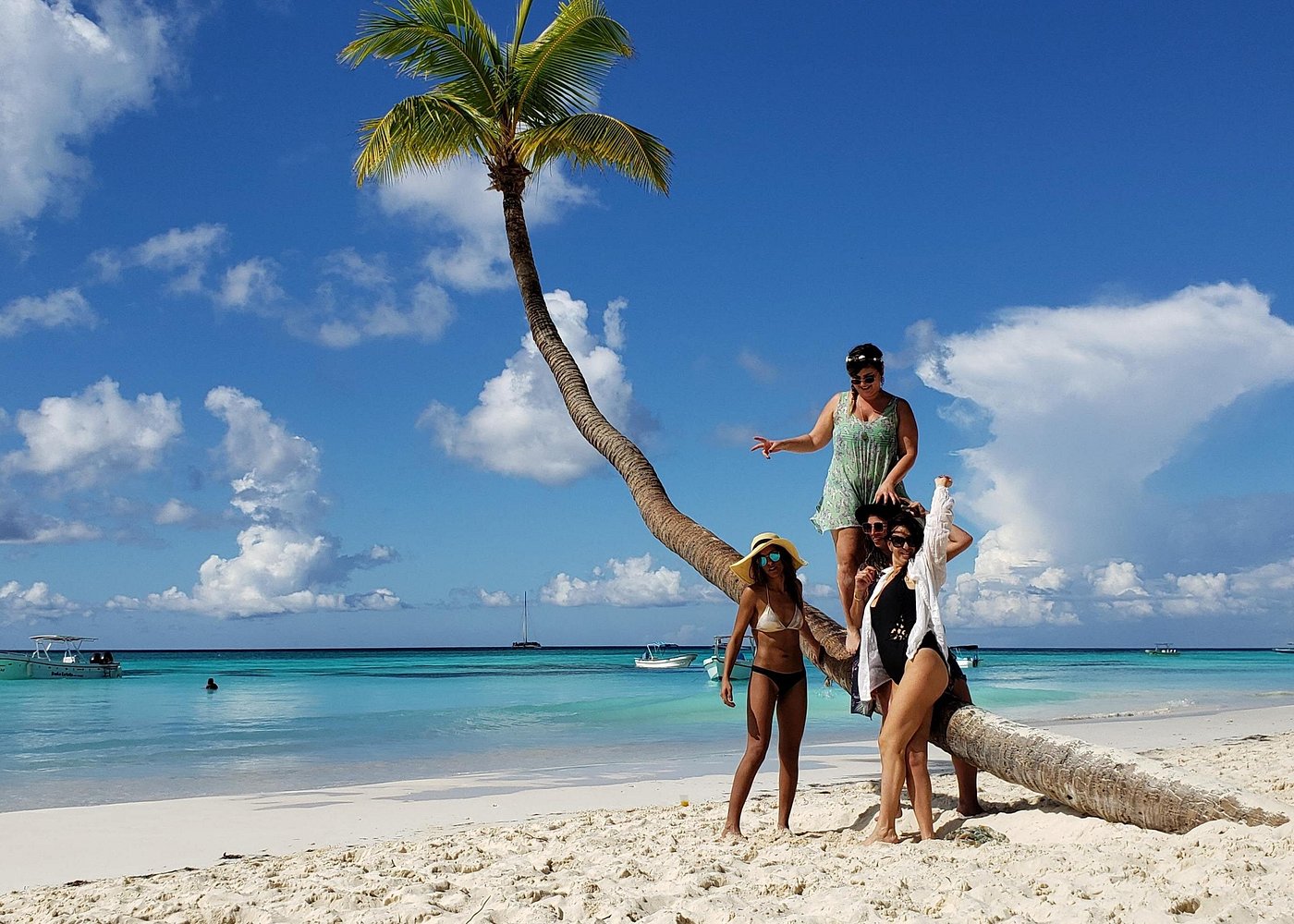 Saona Island vs. Punta Cana Beaches: Which Is Better?