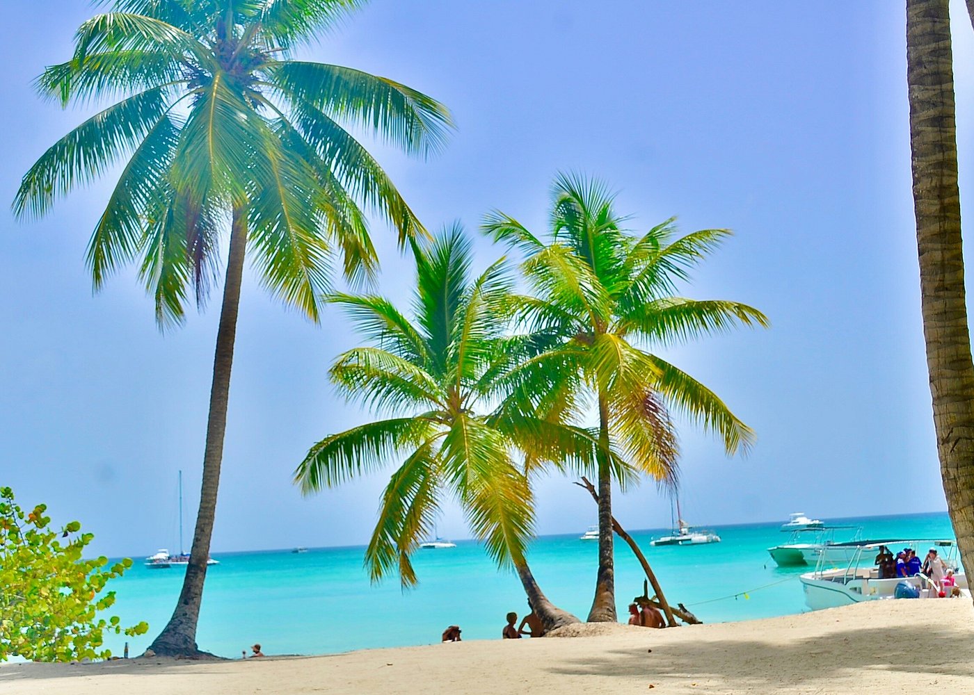Saona Island Geology: Limestone Rocks, Terraces & Coastal Landforms