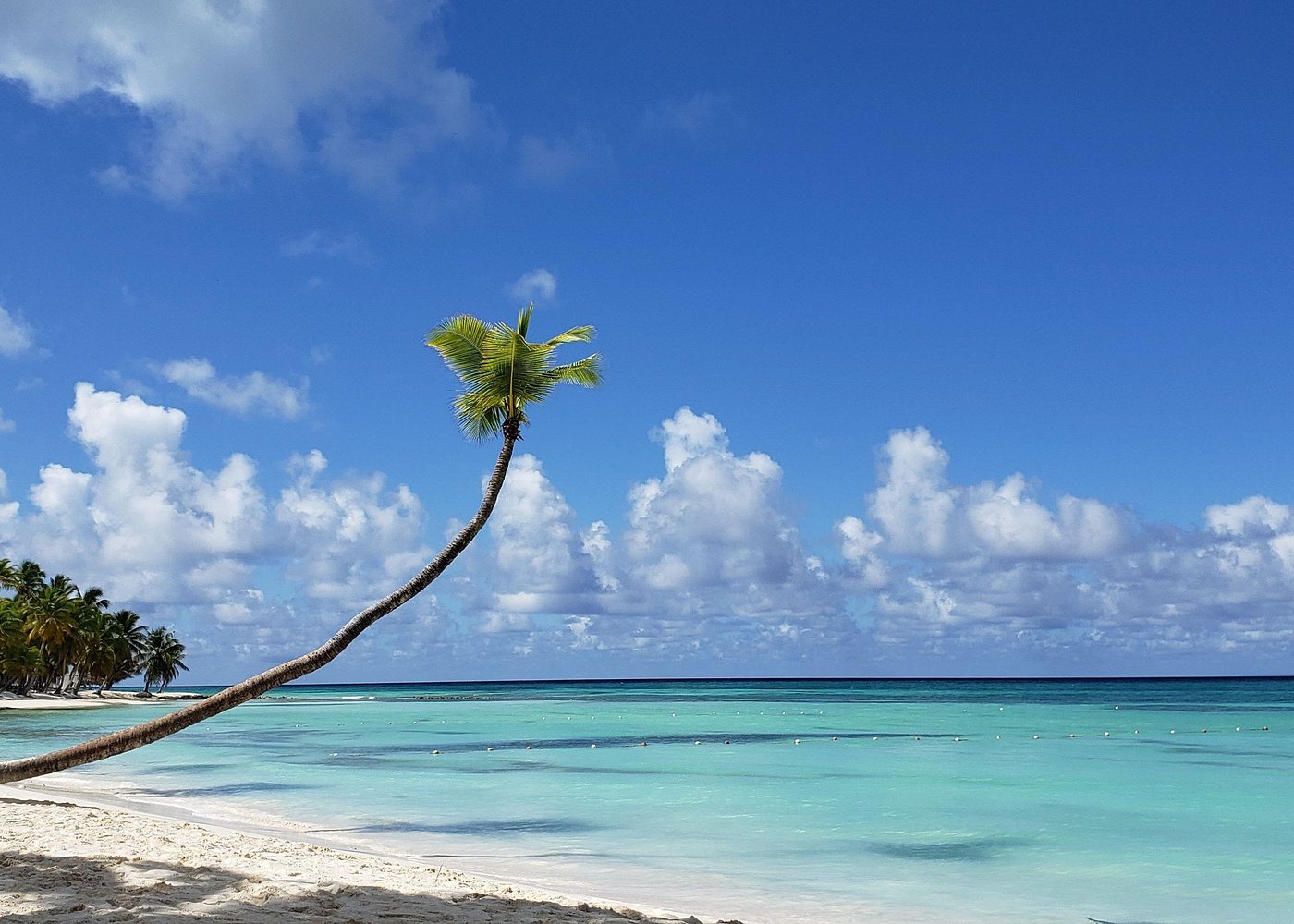 Saona Island Catamaran vs. Speedboat: Which Tour Is Better?