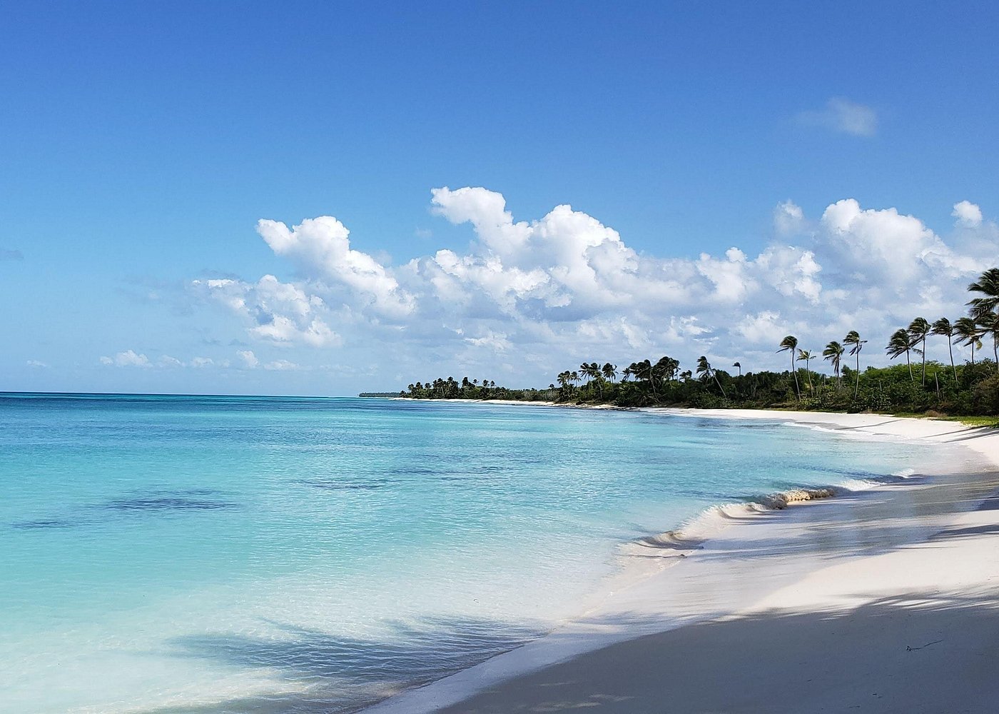 Saona Island at Night: What to Expect After Sunset