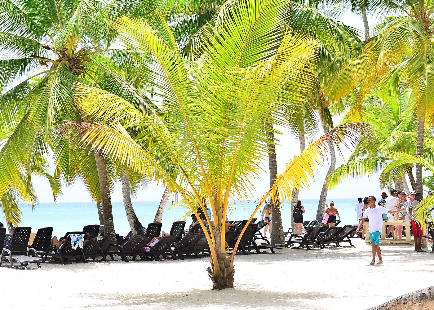 Saona Island Mano Juan Village: Local Life & Culture