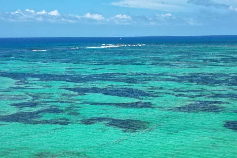 Scuba Diving Near Saona Island: Reefs, Wrecks & Dive Tips