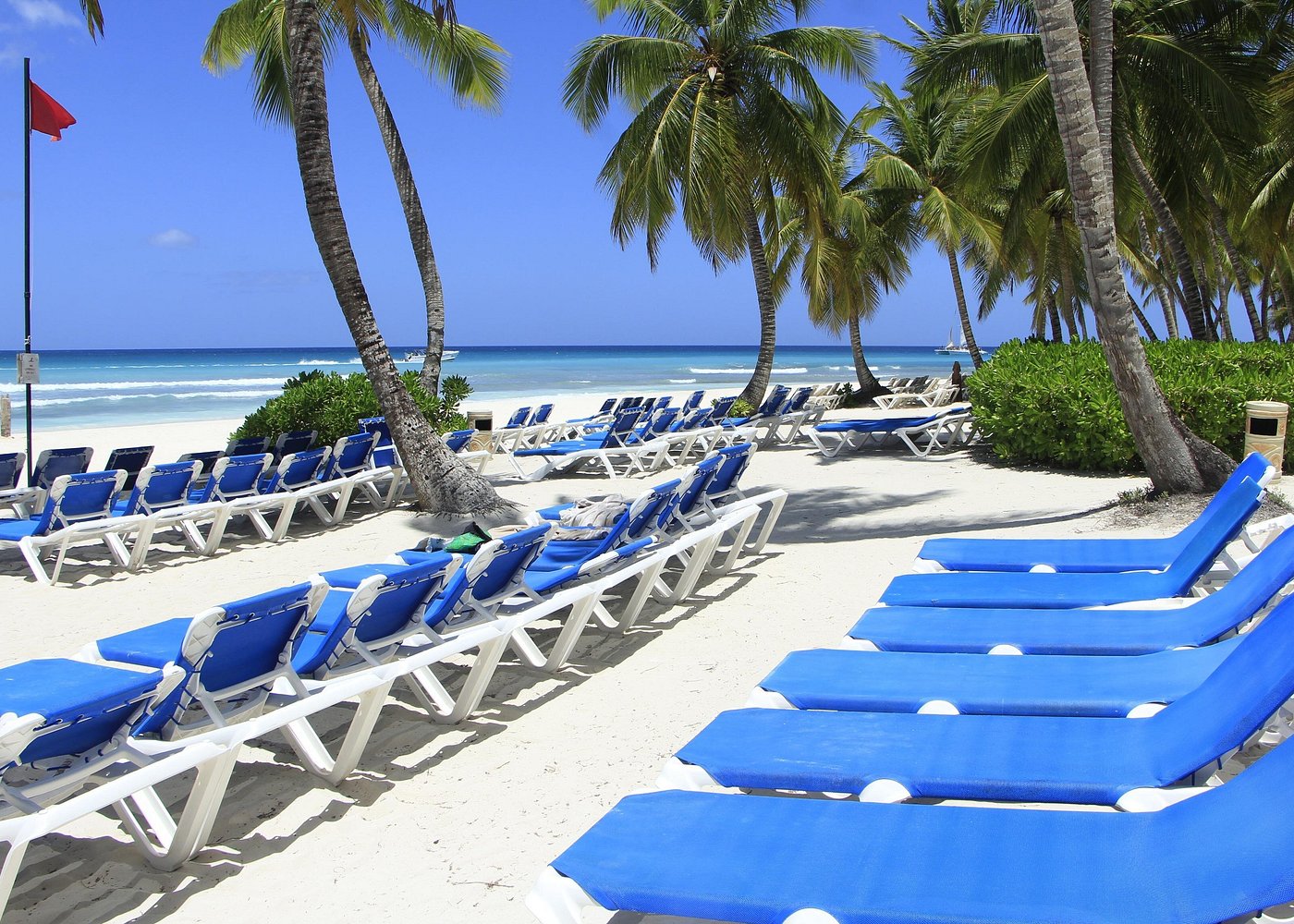 Príroda na ostrove Saona: Zvieratá a zodpovedné sledovanie - Samana Whale Watching Guide