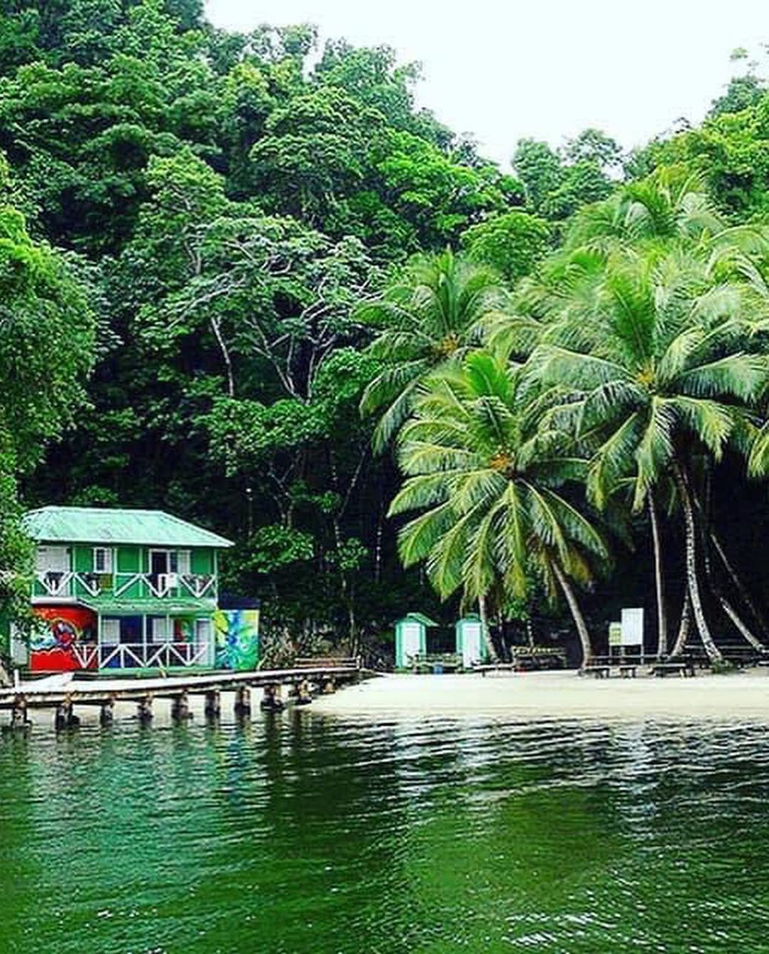 Booking Hives | Travel Experiences, Tours & Bookings main view