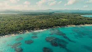 Playa Limon Miches scenery