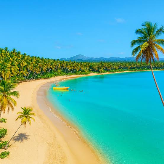 Playa Esmeralda  landscape