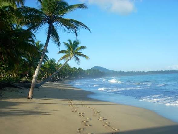 Playa Limon Miches landscape
